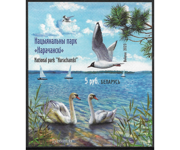 Белоруссия. Национальный парк "Нарочанский". Беззубцовый блок Белоруссия. Национальный парк "Нарочанский". Беззубцовый блок
