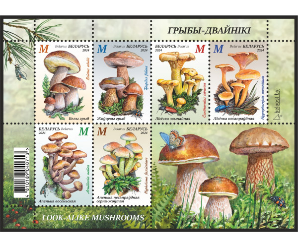 Белоруссия. Грибы-двойники. Блок Белоруссия. Грибы-двойники. Блок