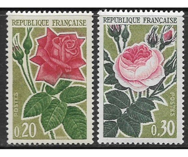 Франция. Розы. Серия