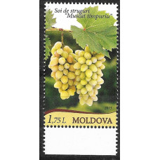 Молдавия. Сорта винограда. "Muscat Timpuriu". Марка