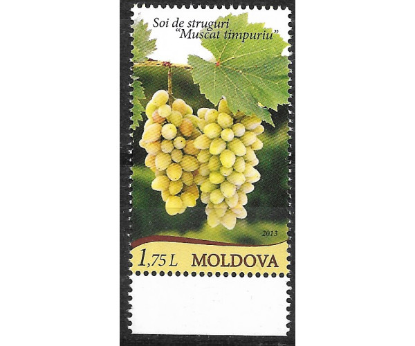 Молдавия. Сорта винограда. "Muscat Timpuriu". Марка