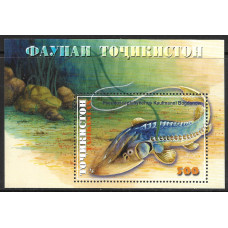 Таджикистан. Фауна, рыбы. Амударьинский большой лопатонос. Блок