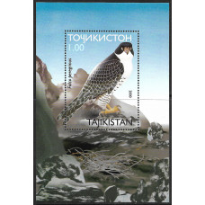 Таджикистан. Хищные птицы Таджикистана. Сапсан. Блок